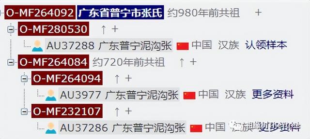 王姓人口数量2023排第几位，揭秘南方八大历史悠久的张氏宗族后人真实人口规模